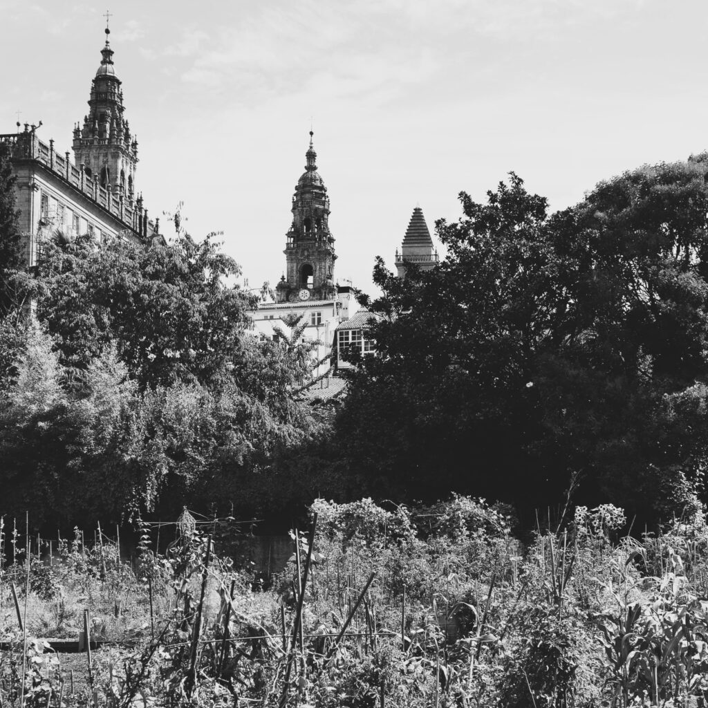 Arrokabe Arquitectos Catedral Santiago de Compostela 2