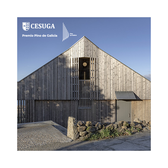 Premio CESUGA – Pino de Galicia_2024