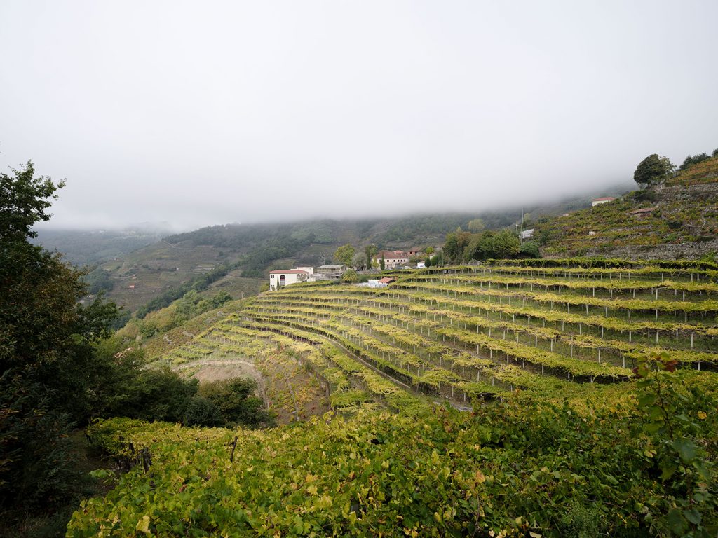 Arrokabe Arquitectos - MIRADOR DA COVA - 20