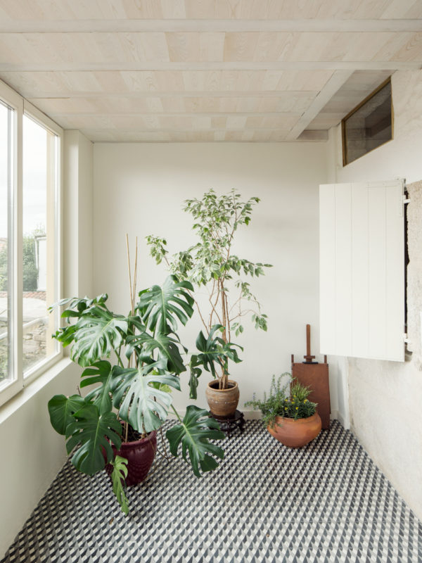 Arrokabe Arquitectos CASA DO MEDIO - 5