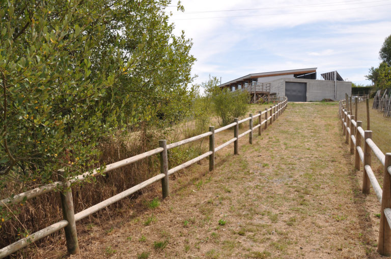 Arrokabe Arquitectos CENTRO BOIMORTO - 3