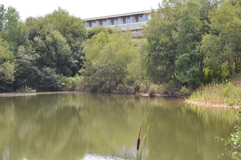 Arrokabe Arquitectos CENTRO BOIMORTO - 7